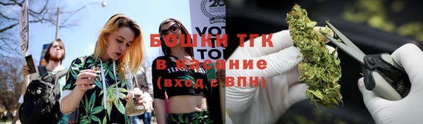 spice Алексин