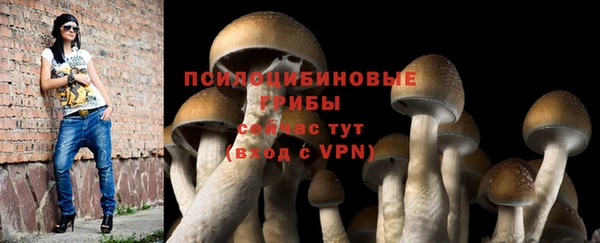 spice Алексин