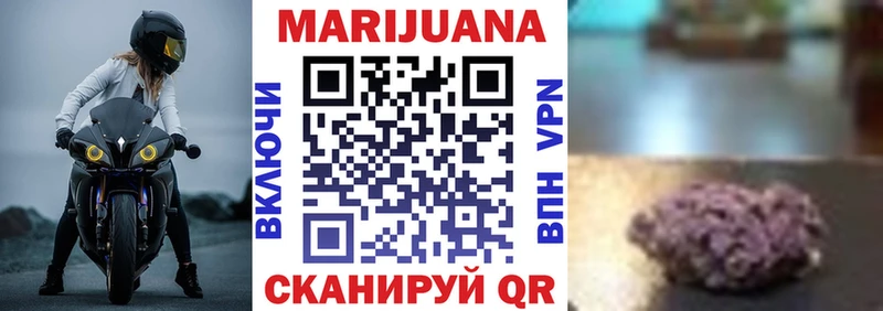 Шишки марихуана конопля  Котлас 